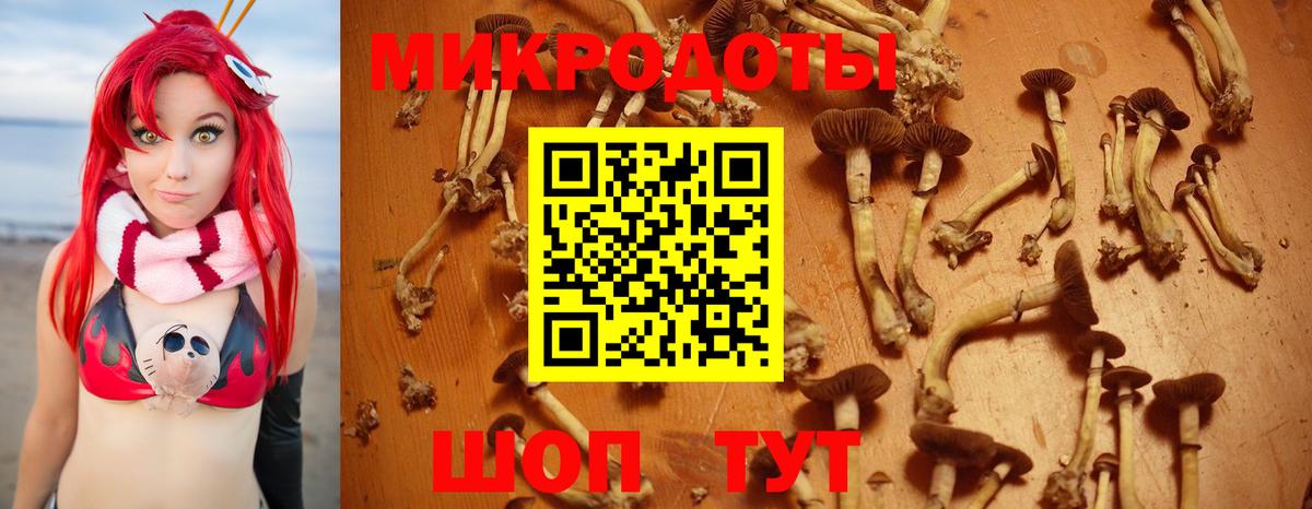 Всеволожск  Галлюциногенные грибы Magic Shrooms  Вход с VPN 