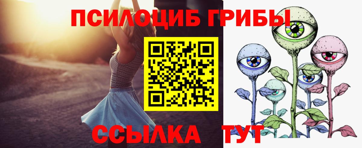 Галлюциногенные грибы Psilocybe Всеволожск